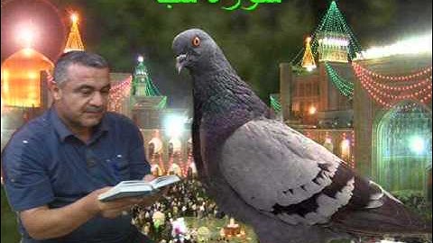 سورة سبا المباركه ==هديتى الى ارواح امواتكم ==ملا صاحب العبيدى