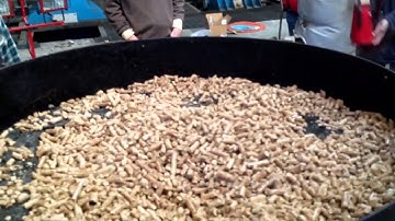 Team Treemobile Tests a GEK Gasifier