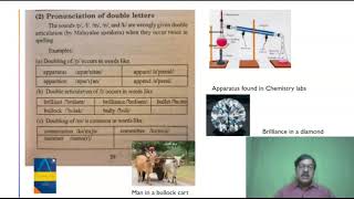 Transactions | L1 Interference Part 2 | EnglishSkillsOne