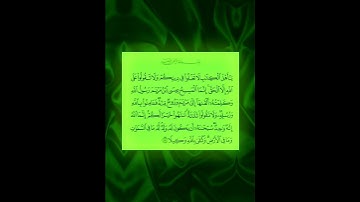 سورة  النساء - بصوت الشيخ ماهر المعيقلي 🍂