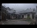 🔴LIVE Heavy rain in my Village||for relaxing and sleep