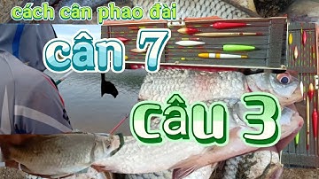 Cách cân phao câu đài,cân 7 câu 3:(cá ăn như lợn.hồ hố tre)