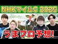 【NHKマイルC 2025・予想延長戦】人気から穴馬までうまプロ注目馬を大公開！
