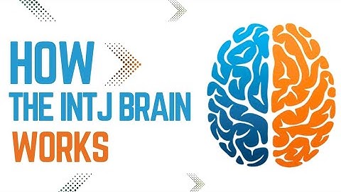 How the INTJ Brain Works