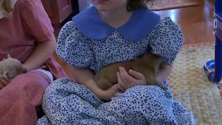 First Time Holding the New Golden Puppies at Windy Knoll Farm!