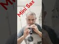 mini Sax
