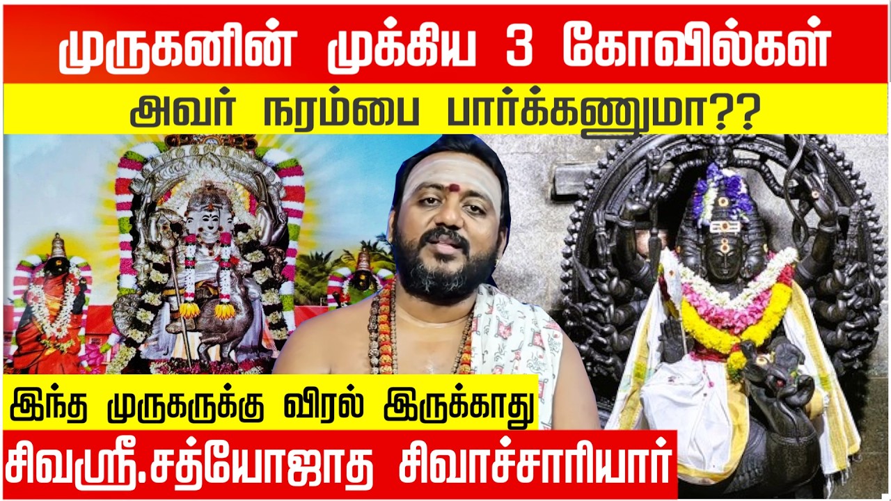 Murugan Temple History: Why the King Cut the Sculptor’s Eyes? 👁️ (Sikkal vs Ettukudi)