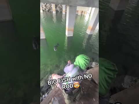 BIG FISH CATCH with HANDLINE!