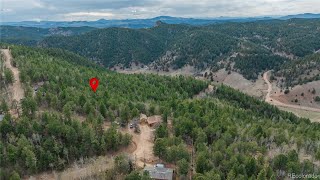 Residential for sale - 881 Timber Ridge Road, Divide, CO 80814