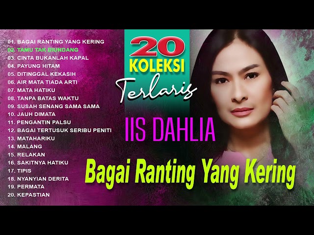 20 Koleksi Terlaris Iis Dahlia (Spesial Dangdut Klasik) class=