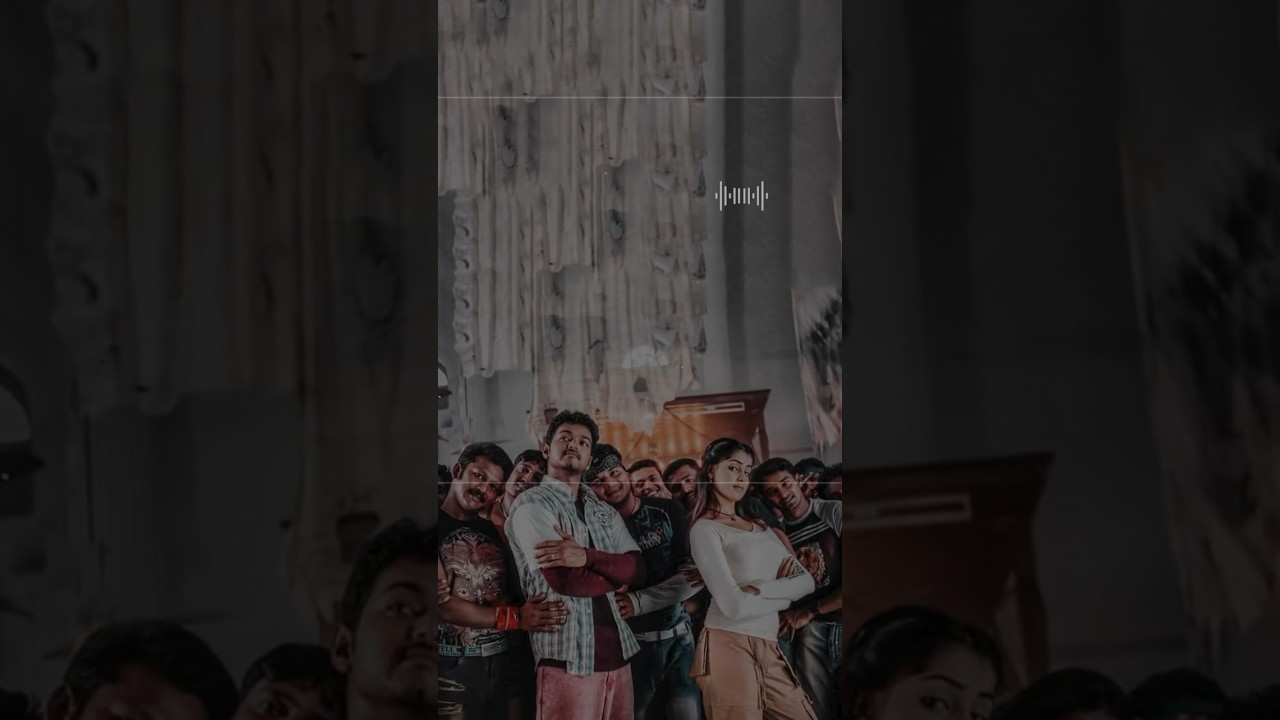 🎧 82/100 Vijay Songs 💌 Vaadi Vaadi | Sachein | DSP | V. Elango | Vadivelu | Genelia | Curls Manda
