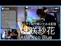 【佐咲紗花 Atlantico Blue】 2023/7/15配信切り抜き