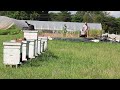 Growing Food Full Time Market Garden Style