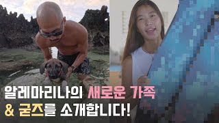 알레마리나의 새로운 가족, 챔프! 그리고 야심차게 준비한 굳즈를 소개합니다!