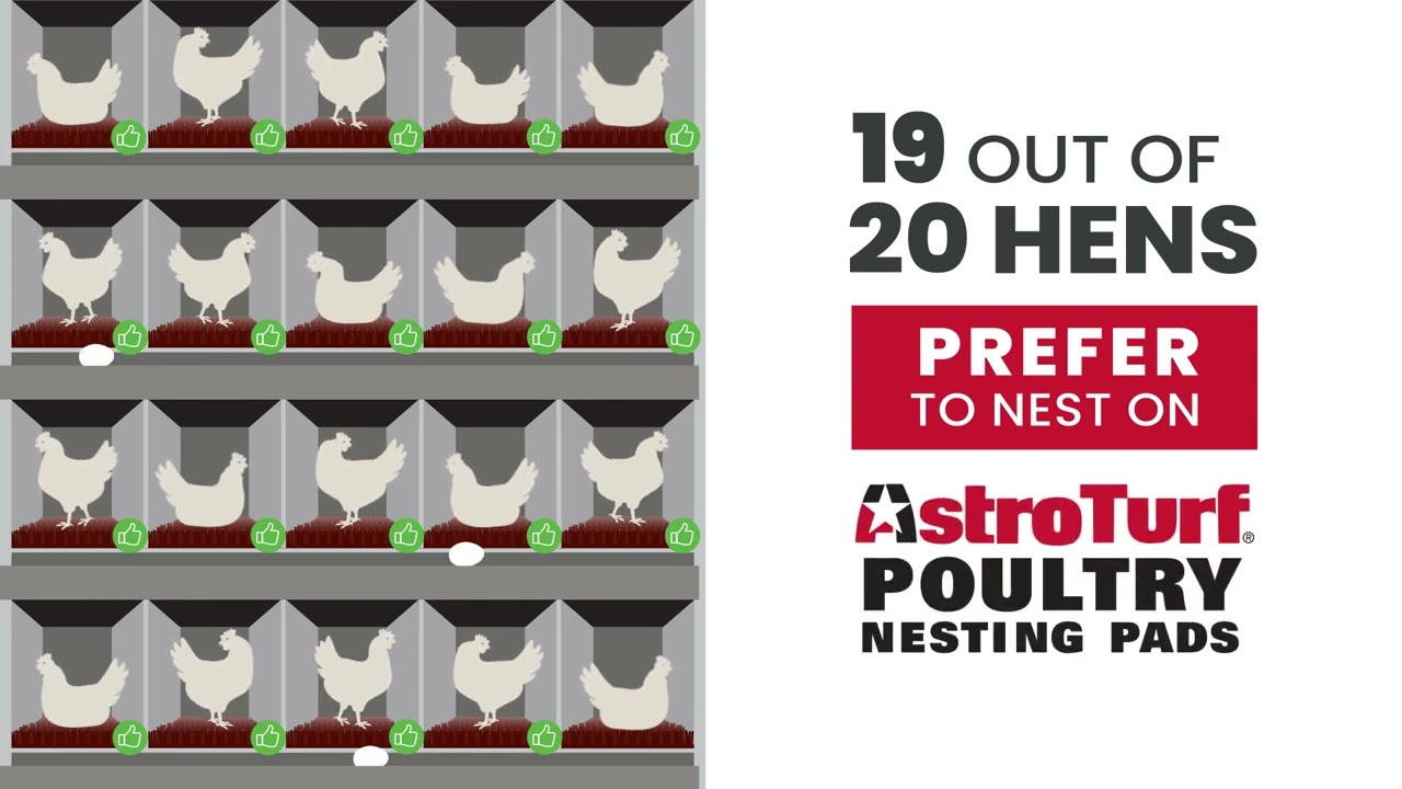Hens Prefer Astroturf® Poultry Nest Pads