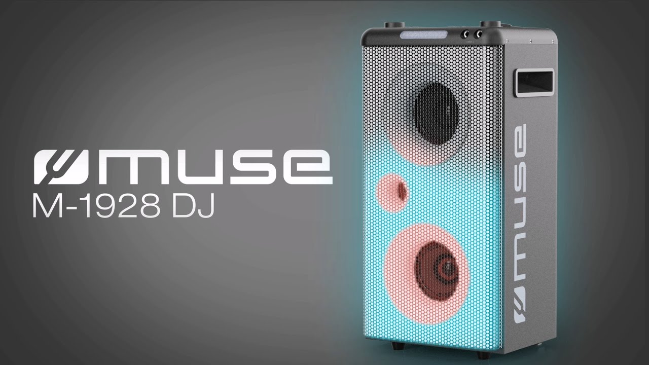 Enceinte sono MUSE Enceinte autonome MUSE M-1928DJ à LED Pa