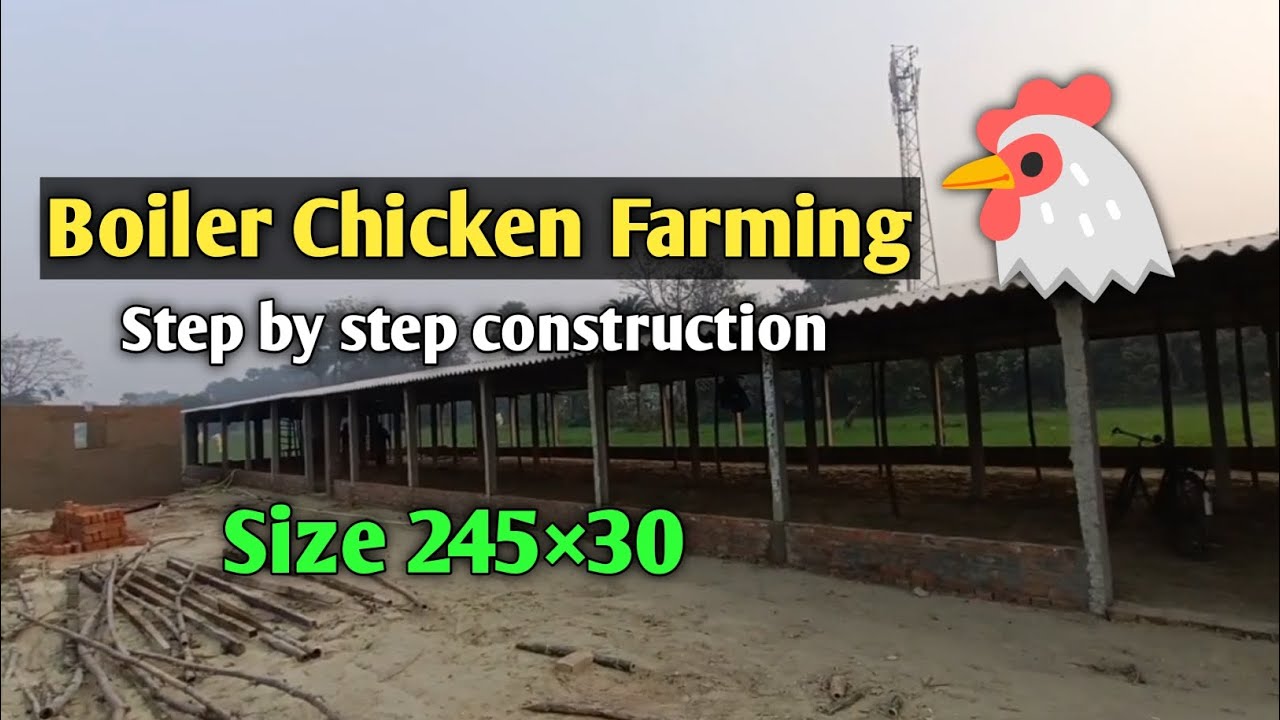 Boiler Chicken Farming 2026 | Poultry Farming
