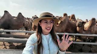 Xinjiang: What Mainstream Media Won’t Show You! The magical RED DESERT & CAMELS in Keping County