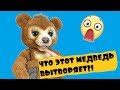 ВОЛШЕБНЫЙ РУССКИЙ МИШКА Cubby The Curious Bear Hasbro Furreal Friends E4591