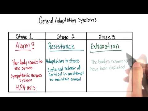 General adaptation syndrome - Intro to Psychology