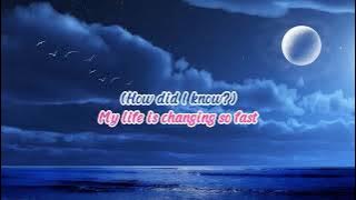 Can't We Try - Dan Hill and Vonda Shepard Lyric Video