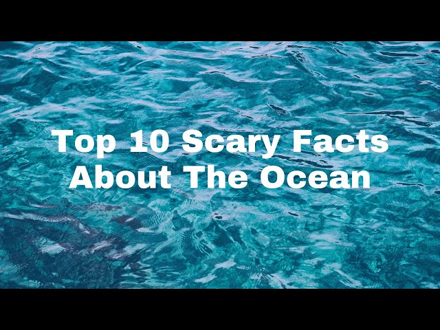 10 Terrifying Facts About the Ocean You Didn't Know class=