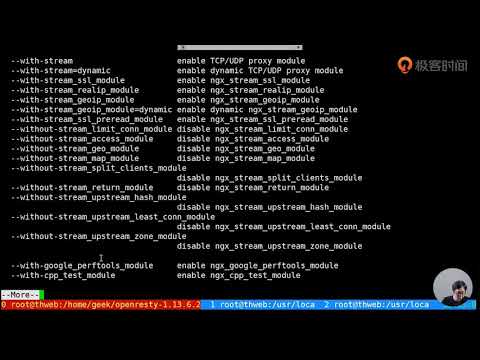 19 基于 OpenResty 用 Lua 语言实现简单服务