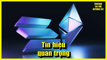 Cá voi Ethereum lại bắt đầu “gom hàng”, SOL nhắm mục tiêu 600 USD