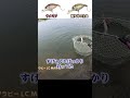 吉や&ラッキークラフトコラボカラーについて深堀