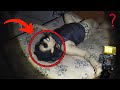 7 Real Ghost Videos Captured By Paranormal Investigators That Will Scare You Like A Baby!