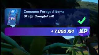 Fortnite - Consume foraged items - Chapter 3 Season 3