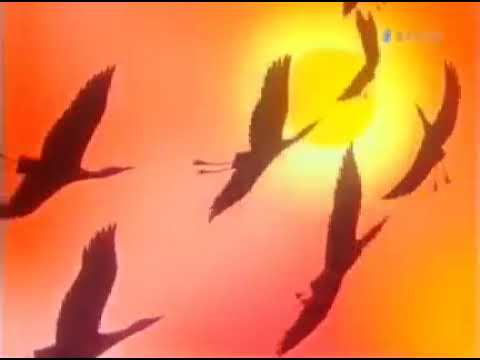 Ностальгия ))
