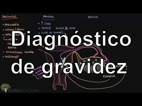 Vídeo: Como Diagnosticar Gravidez