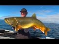 Delivering 126 Shimano rods to the middle of nowhere, Manitoba - Reindeer Lake VLOG