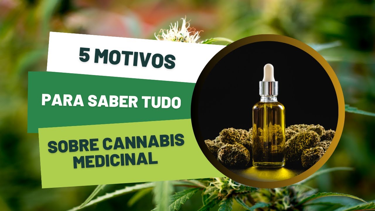 CBCM 2023: 5 Motivos para aprender tudo sobre cannabis medicinal