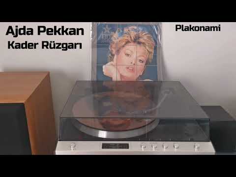 Ajda Pekkan, Kader