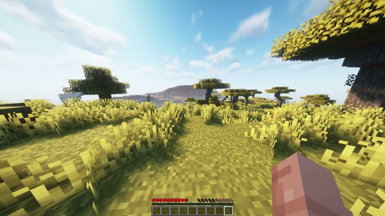 How to Run BBS (Blockbuster McHorse) Mod on FORGE 1.20.1