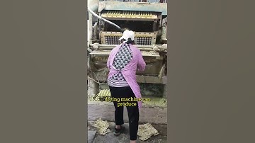 high   yield fully   automatic egg tray drying machine #machine #factoryproducts #business #factory