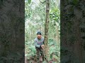 Vidio lucu bikin ngakak habis #shortvideo #fypyoutube #funny