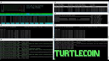 TurtleCoin daemon LevelDB vs RocksDB - Sync from 0, zedwallet sync, bootstrap importing (Same VM)