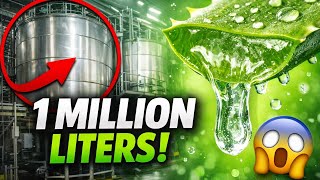 Million Liters! Inside The World’s Massive Aloe Vera Gel Factory