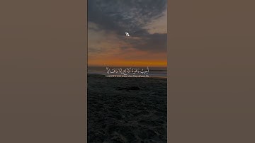 وإذا سألك عبادي عني فإني قريب #العفاسي #قرآن #القرآن_الكريم #راحة_نفسية #تلاوة_خاشعة