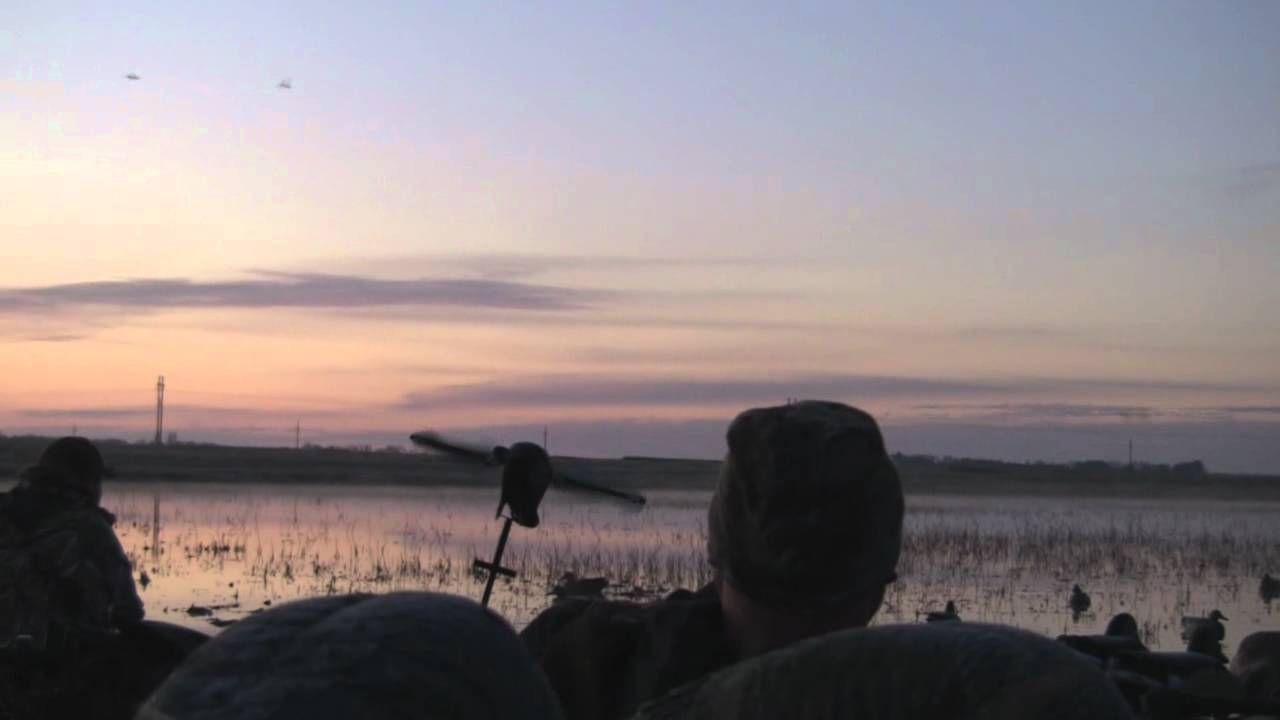 Duck Hunting North Dakota Duck Hunting YouTube