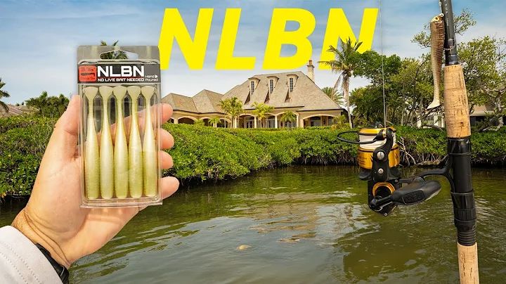 Testing NEW NLBN Lure around Docks and Mangroves! Snook, Redfish, Trout