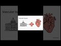 The Hidden Vascular Crisis 2 by Erokhane via NotebookLM