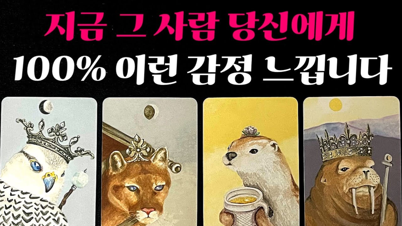 [타로] ❤️‍🔥미친적중률❤️‍🔥 지금 그 사람 당신에게 100% 이런 감정 느낍니다