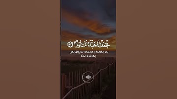 تلاوه تفوق الخيال 🌱تلاوه تفوق الخيال🌱 حالات واتس اب 🌱