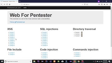 Web For Pentester | PentesterLab XSS: Example 2