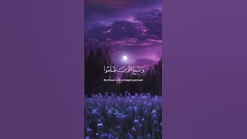 سورة هود | الآية 115 - 119 | القارئ إسلام صبحي .#اسلام_صبحي#قرآن#آيات#اكسبلور#duet#foryou#foryoupage