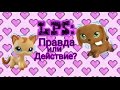 LPS: ПРАВДА ИЛИ ДЕЙСТВИЕ? ИСПОРТИЛА ПЕТА!